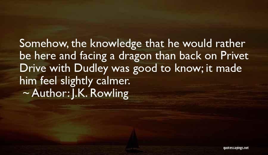 J.K. Rowling Quotes: Somehow, The Knowledge That He Would Rather Be Here And Facing A Dragon Than Back On Privet Drive With Dudley