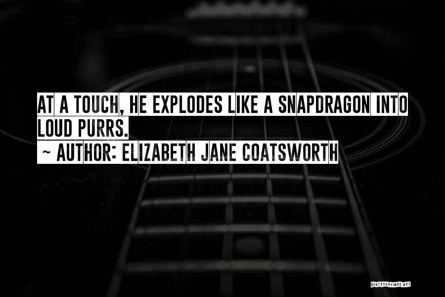 Elizabeth Jane Coatsworth Quotes: At A Touch, He Explodes Like A Snapdragon Into Loud Purrs.