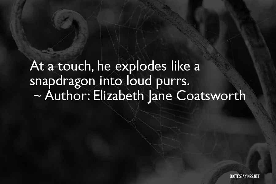 Elizabeth Jane Coatsworth Quotes: At A Touch, He Explodes Like A Snapdragon Into Loud Purrs.