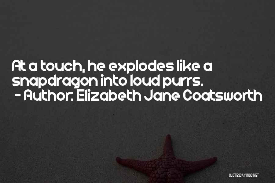 Elizabeth Jane Coatsworth Quotes: At A Touch, He Explodes Like A Snapdragon Into Loud Purrs.