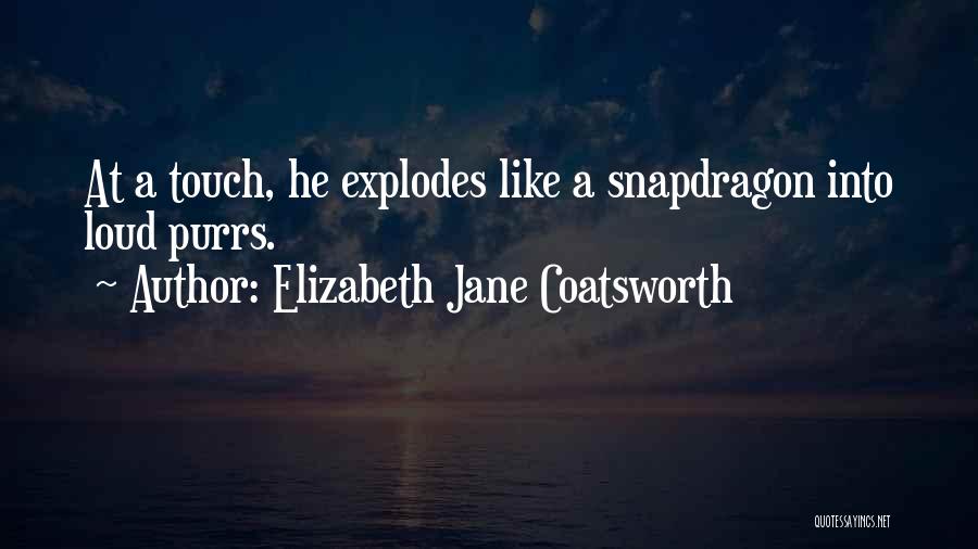 Elizabeth Jane Coatsworth Quotes: At A Touch, He Explodes Like A Snapdragon Into Loud Purrs.