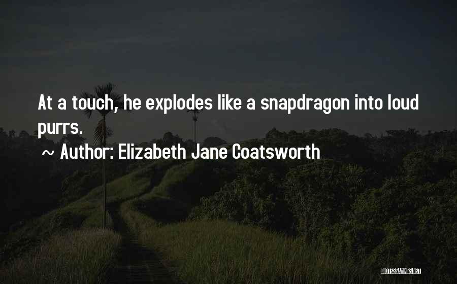 Elizabeth Jane Coatsworth Quotes: At A Touch, He Explodes Like A Snapdragon Into Loud Purrs.