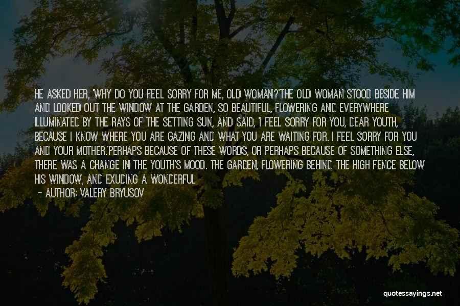 Valery Bryusov Quotes: He Asked Her, 'why Do You Feel Sorry For Me, Old Woman?'the Old Woman Stood Beside Him And Looked Out