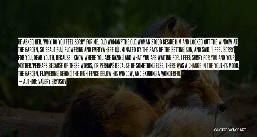 Valery Bryusov Quotes: He Asked Her, 'why Do You Feel Sorry For Me, Old Woman?'the Old Woman Stood Beside Him And Looked Out