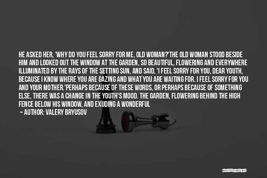 Valery Bryusov Quotes: He Asked Her, 'why Do You Feel Sorry For Me, Old Woman?'the Old Woman Stood Beside Him And Looked Out