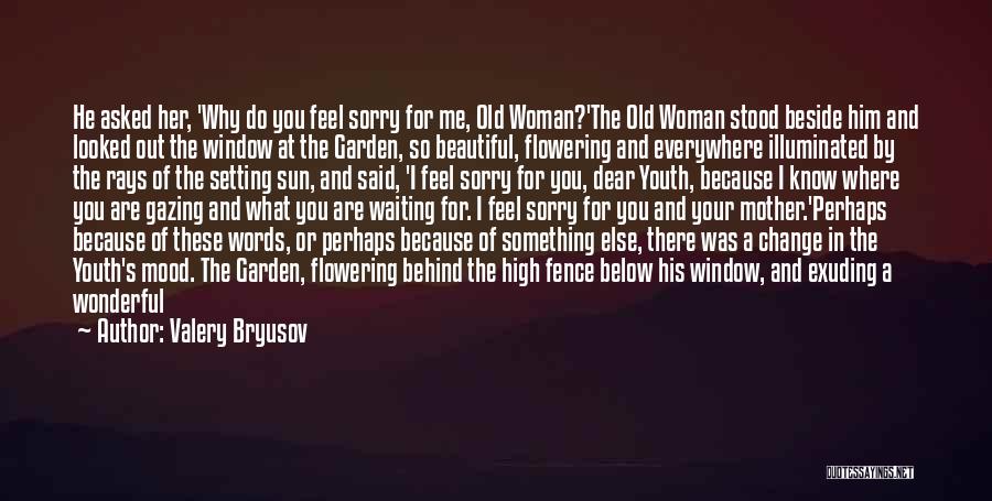 Valery Bryusov Quotes: He Asked Her, 'why Do You Feel Sorry For Me, Old Woman?'the Old Woman Stood Beside Him And Looked Out