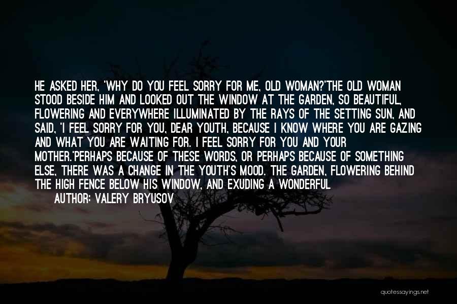 Valery Bryusov Quotes: He Asked Her, 'why Do You Feel Sorry For Me, Old Woman?'the Old Woman Stood Beside Him And Looked Out