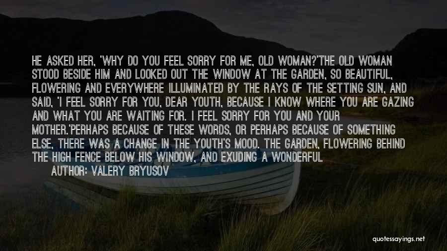 Valery Bryusov Quotes: He Asked Her, 'why Do You Feel Sorry For Me, Old Woman?'the Old Woman Stood Beside Him And Looked Out