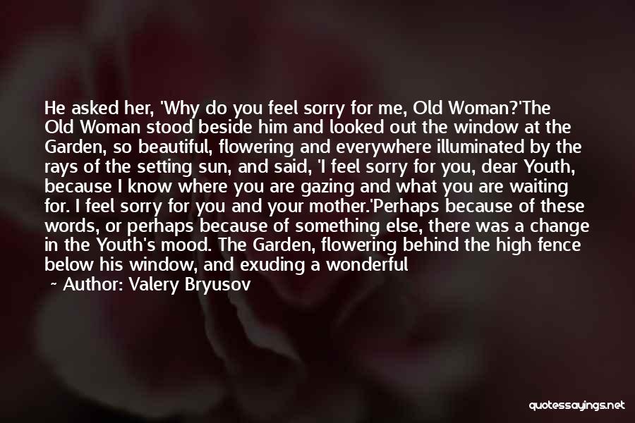 Valery Bryusov Quotes: He Asked Her, 'why Do You Feel Sorry For Me, Old Woman?'the Old Woman Stood Beside Him And Looked Out