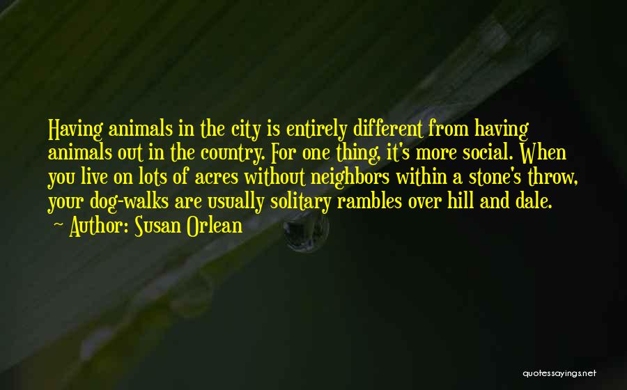 Susan Orlean Quotes: Having Animals In The City Is Entirely Different From Having Animals Out In The Country. For One Thing, It's More