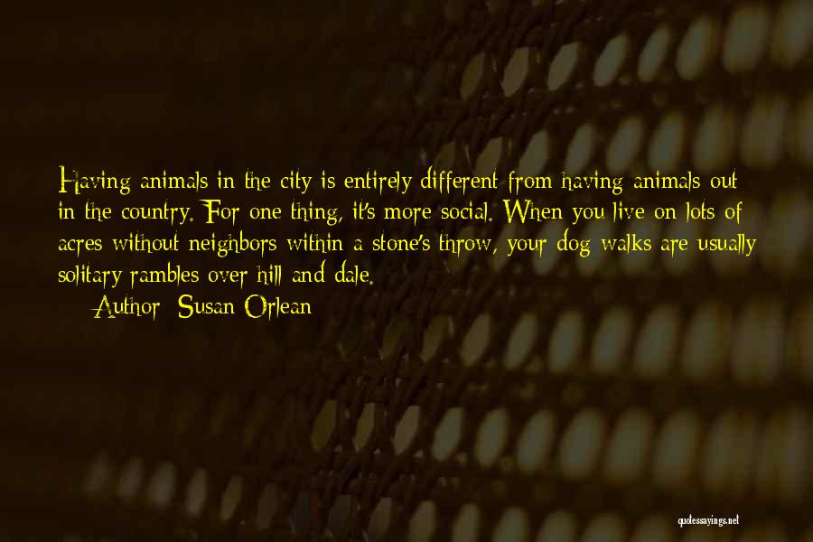 Susan Orlean Quotes: Having Animals In The City Is Entirely Different From Having Animals Out In The Country. For One Thing, It's More