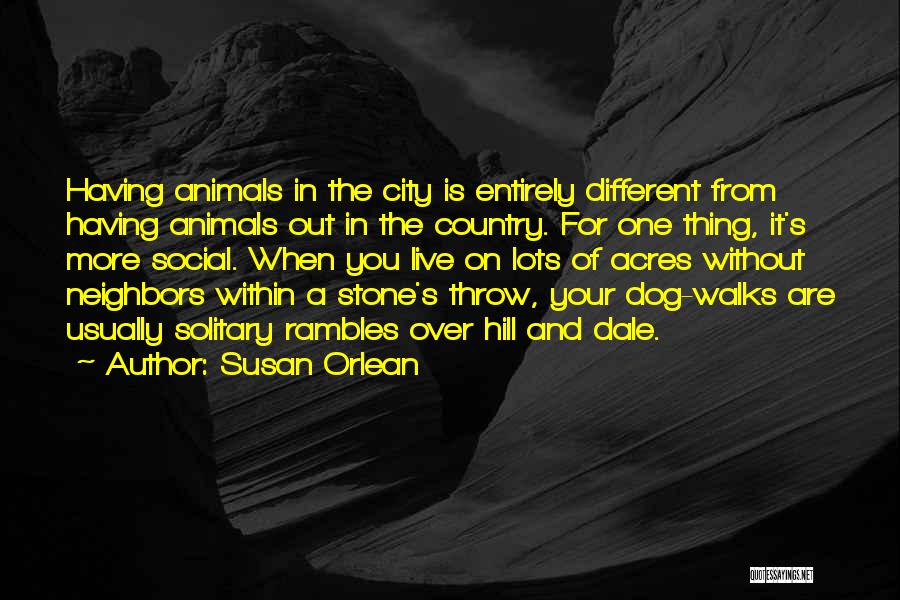 Susan Orlean Quotes: Having Animals In The City Is Entirely Different From Having Animals Out In The Country. For One Thing, It's More