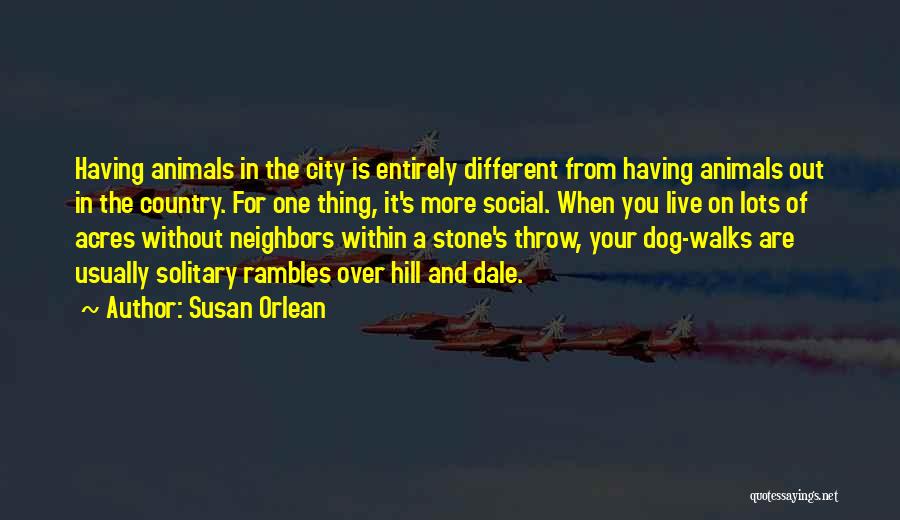 Susan Orlean Quotes: Having Animals In The City Is Entirely Different From Having Animals Out In The Country. For One Thing, It's More