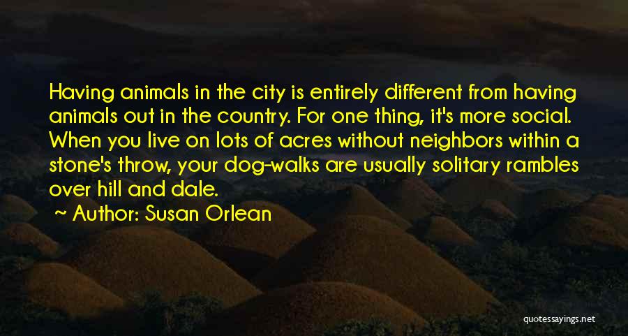 Susan Orlean Quotes: Having Animals In The City Is Entirely Different From Having Animals Out In The Country. For One Thing, It's More