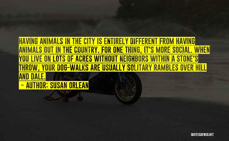 Susan Orlean Quotes: Having Animals In The City Is Entirely Different From Having Animals Out In The Country. For One Thing, It's More