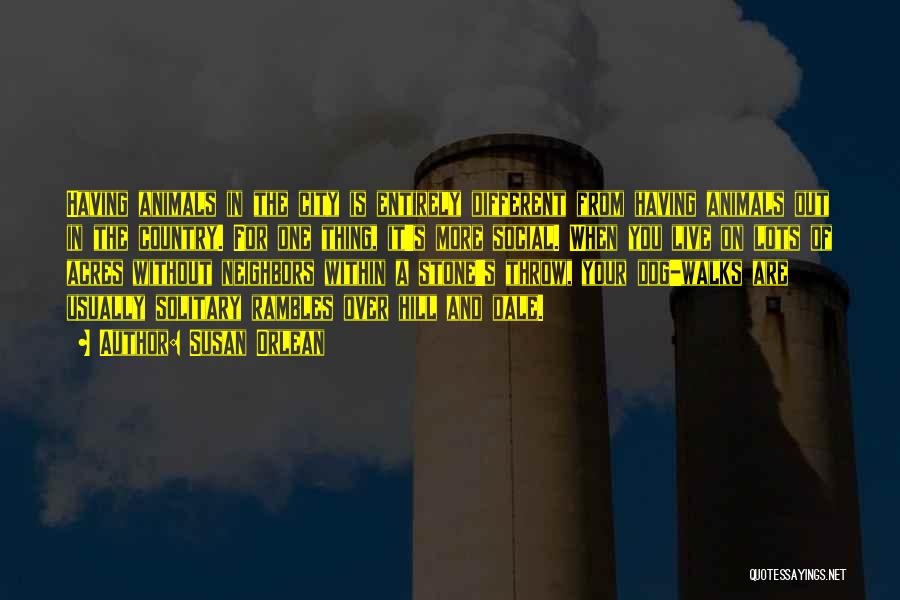 Susan Orlean Quotes: Having Animals In The City Is Entirely Different From Having Animals Out In The Country. For One Thing, It's More