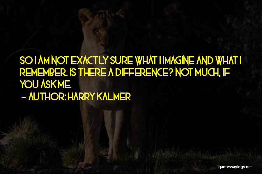 Harry Kalmer Quotes: So I Am Not Exactly Sure What I Imagine And What I Remember. Is There A Difference? Not Much, If