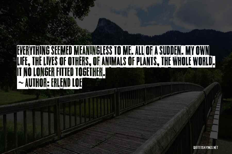 Erlend Loe Quotes: Everything Seemed Meaningless To Me. All Of A Sudden. My Own Life, The Lives Of Others, Of Animals Of Plants,