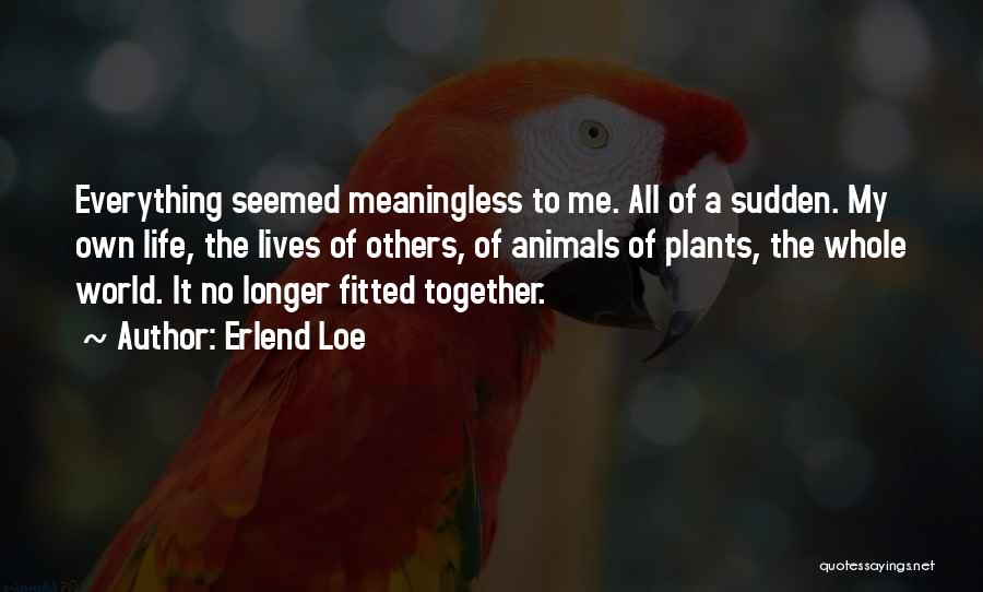 Erlend Loe Quotes: Everything Seemed Meaningless To Me. All Of A Sudden. My Own Life, The Lives Of Others, Of Animals Of Plants,