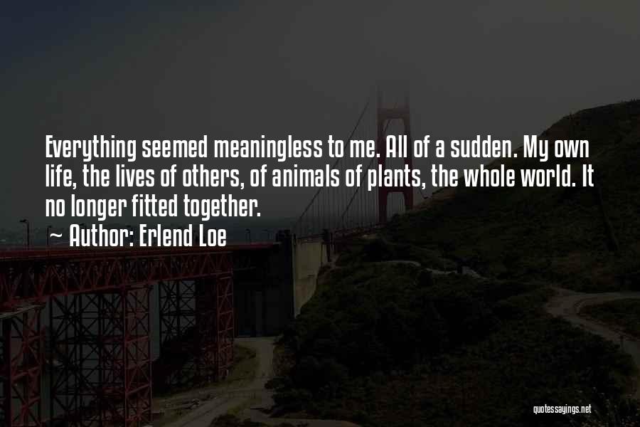 Erlend Loe Quotes: Everything Seemed Meaningless To Me. All Of A Sudden. My Own Life, The Lives Of Others, Of Animals Of Plants,