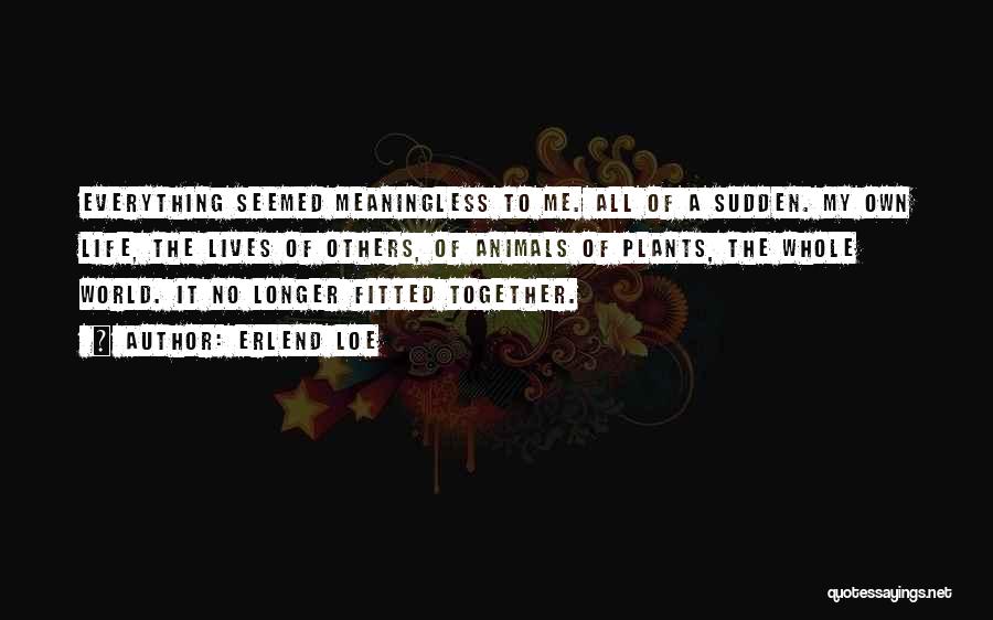 Erlend Loe Quotes: Everything Seemed Meaningless To Me. All Of A Sudden. My Own Life, The Lives Of Others, Of Animals Of Plants,