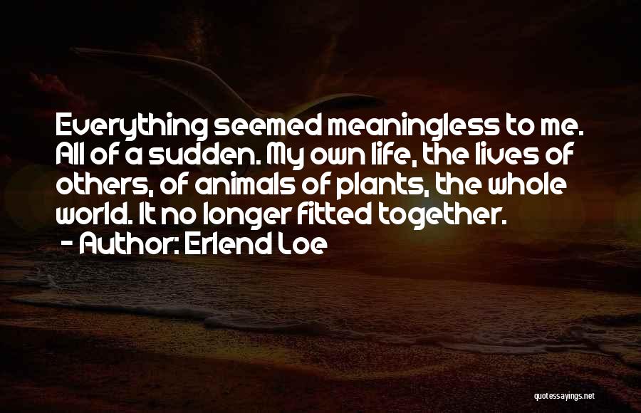 Erlend Loe Quotes: Everything Seemed Meaningless To Me. All Of A Sudden. My Own Life, The Lives Of Others, Of Animals Of Plants,