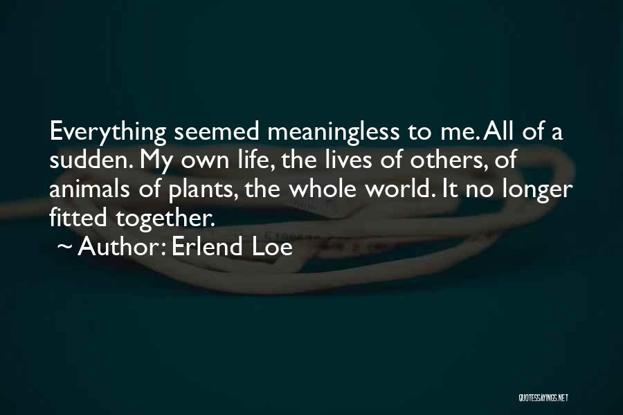 Erlend Loe Quotes: Everything Seemed Meaningless To Me. All Of A Sudden. My Own Life, The Lives Of Others, Of Animals Of Plants,