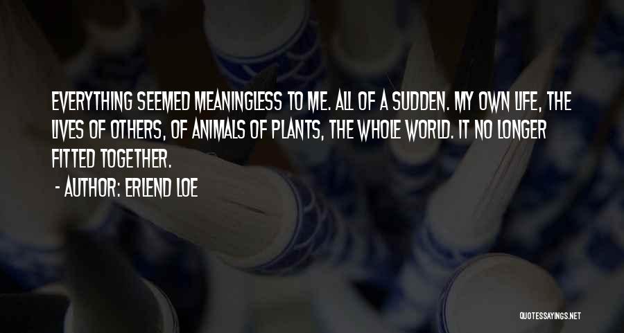 Erlend Loe Quotes: Everything Seemed Meaningless To Me. All Of A Sudden. My Own Life, The Lives Of Others, Of Animals Of Plants,