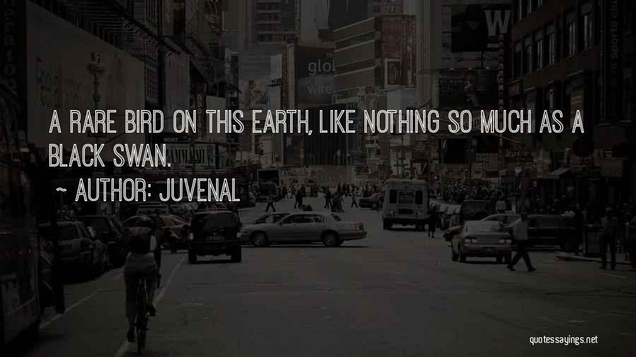 Juvenal Quotes: A Rare Bird On This Earth, Like Nothing So Much As A Black Swan.