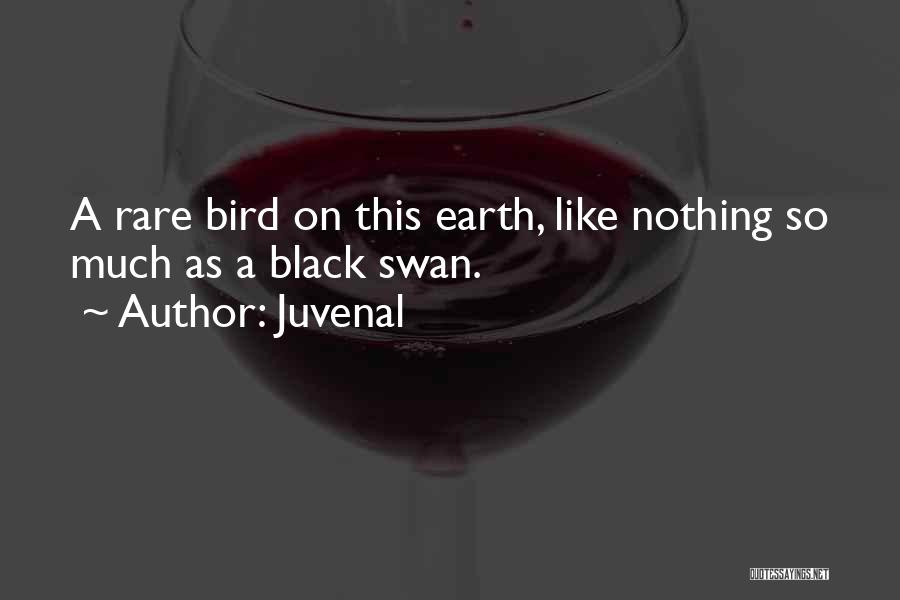 Juvenal Quotes: A Rare Bird On This Earth, Like Nothing So Much As A Black Swan.