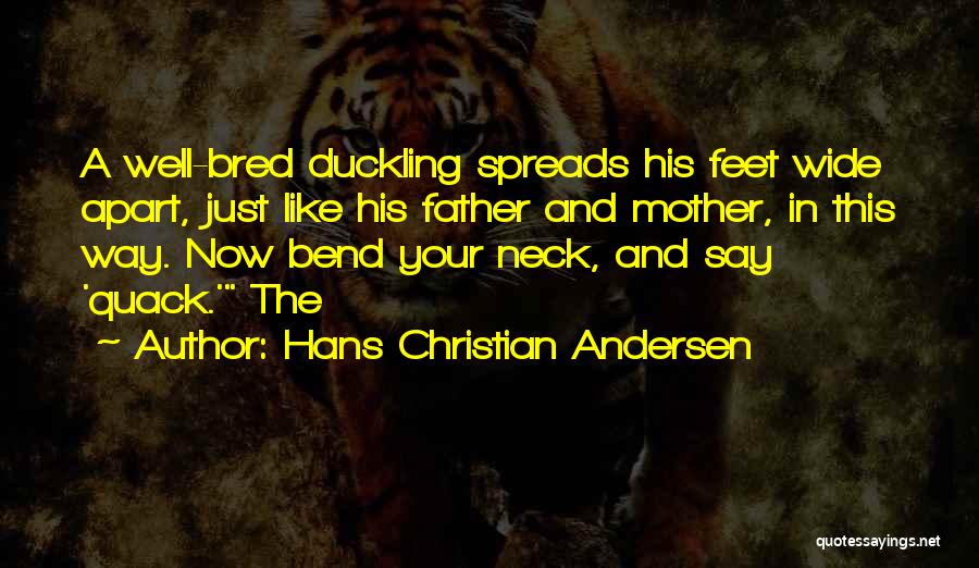 Hans Christian Andersen Quotes: A Well-bred Duckling Spreads His Feet Wide Apart, Just Like His Father And Mother, In This Way. Now Bend Your