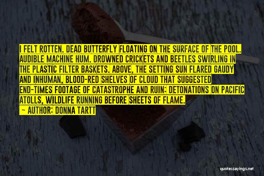 Donna Tartt Quotes: I Felt Rotten. Dead Butterfly Floating On The Surface Of The Pool. Audible Machine Hum. Drowned Crickets And Beetles Swirling