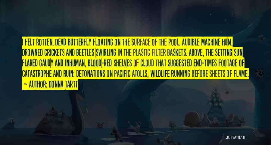 Donna Tartt Quotes: I Felt Rotten. Dead Butterfly Floating On The Surface Of The Pool. Audible Machine Hum. Drowned Crickets And Beetles Swirling