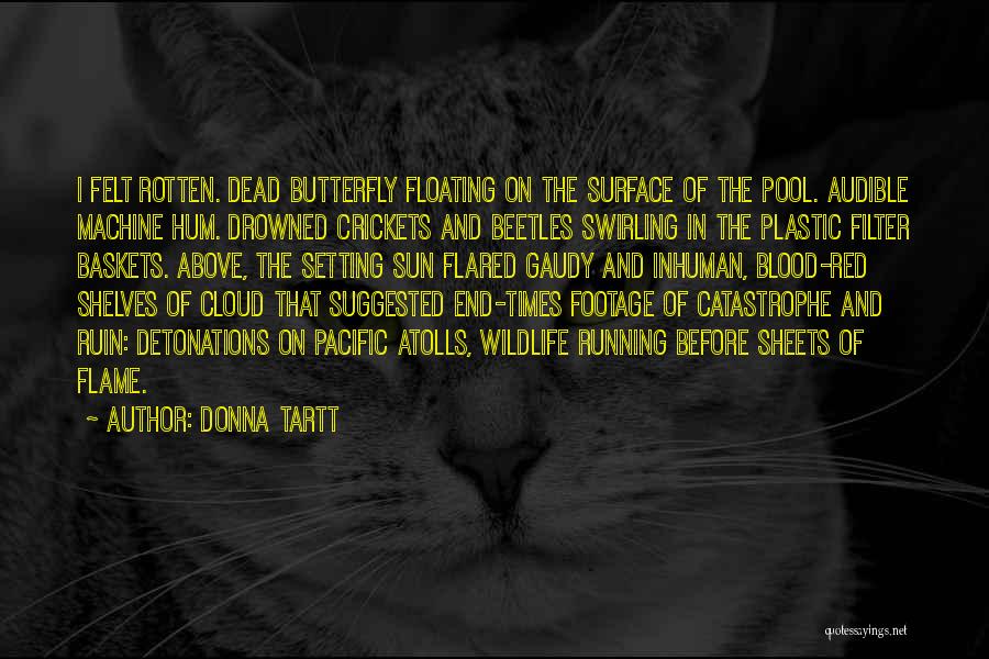 Donna Tartt Quotes: I Felt Rotten. Dead Butterfly Floating On The Surface Of The Pool. Audible Machine Hum. Drowned Crickets And Beetles Swirling