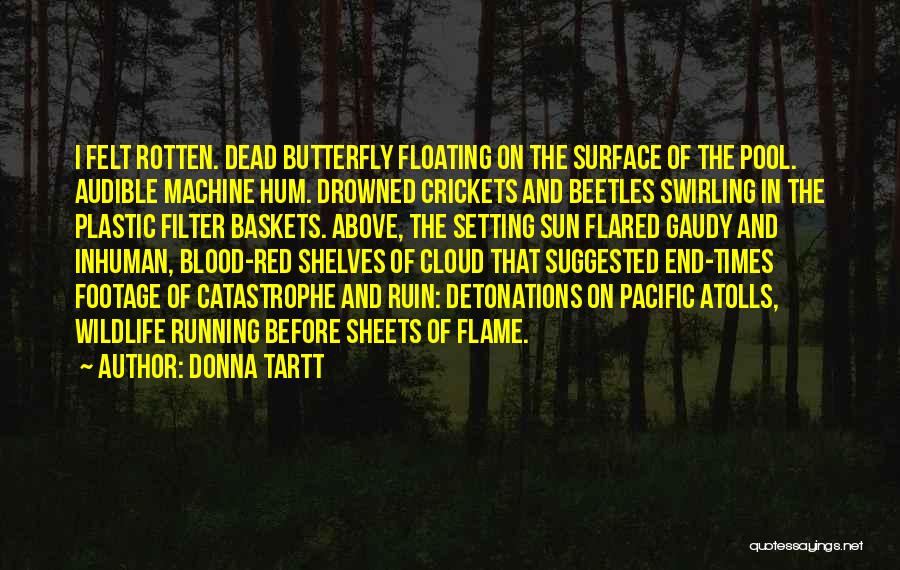 Donna Tartt Quotes: I Felt Rotten. Dead Butterfly Floating On The Surface Of The Pool. Audible Machine Hum. Drowned Crickets And Beetles Swirling