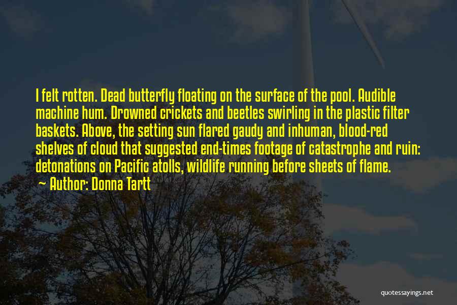 Donna Tartt Quotes: I Felt Rotten. Dead Butterfly Floating On The Surface Of The Pool. Audible Machine Hum. Drowned Crickets And Beetles Swirling