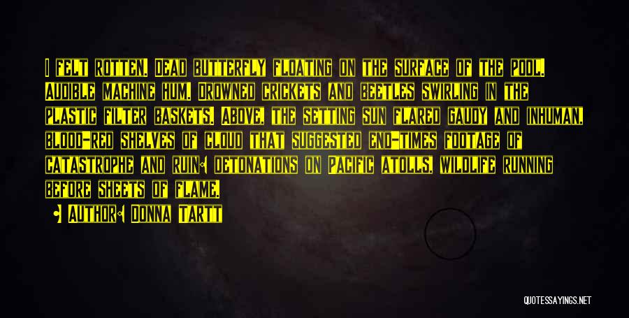Donna Tartt Quotes: I Felt Rotten. Dead Butterfly Floating On The Surface Of The Pool. Audible Machine Hum. Drowned Crickets And Beetles Swirling