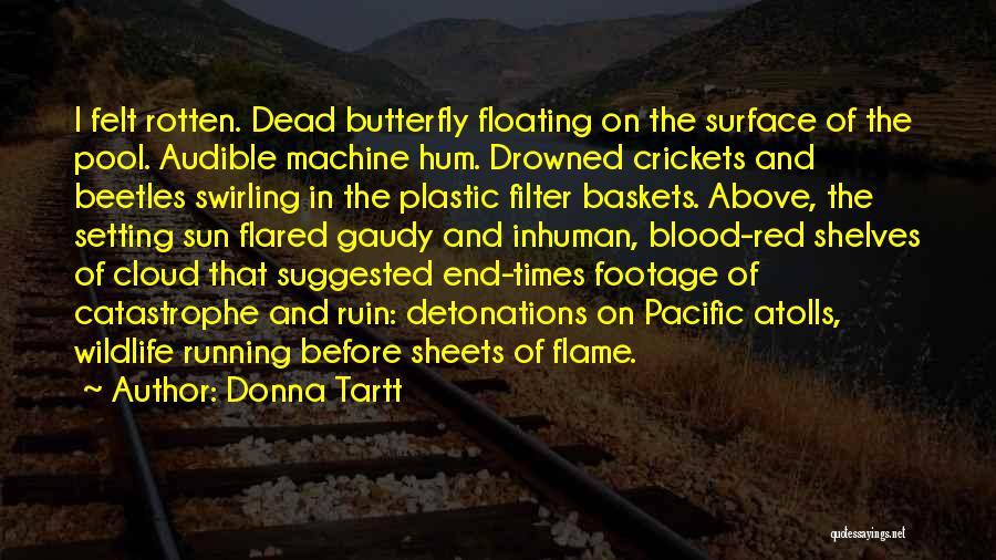 Donna Tartt Quotes: I Felt Rotten. Dead Butterfly Floating On The Surface Of The Pool. Audible Machine Hum. Drowned Crickets And Beetles Swirling