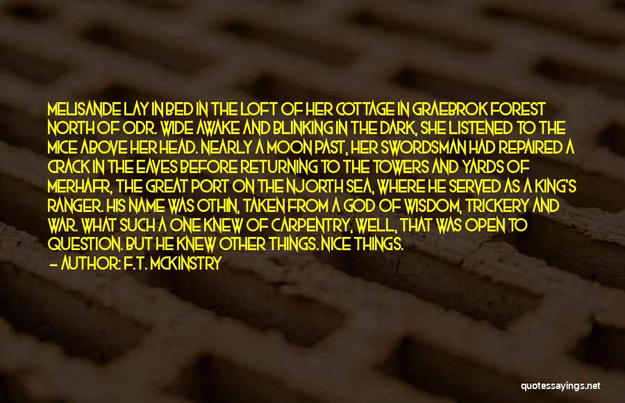 F.T. McKinstry Quotes: Melisande Lay In Bed In The Loft Of Her Cottage In Graebrok Forest North Of Odr. Wide Awake And Blinking