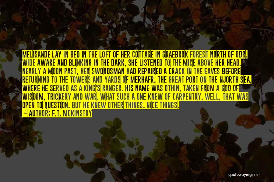 F.T. McKinstry Quotes: Melisande Lay In Bed In The Loft Of Her Cottage In Graebrok Forest North Of Odr. Wide Awake And Blinking