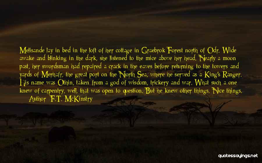 F.T. McKinstry Quotes: Melisande Lay In Bed In The Loft Of Her Cottage In Graebrok Forest North Of Odr. Wide Awake And Blinking