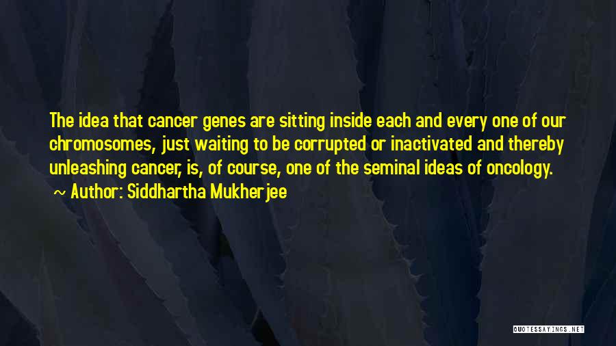 Siddhartha Mukherjee Quotes: The Idea That Cancer Genes Are Sitting Inside Each And Every One Of Our Chromosomes, Just Waiting To Be Corrupted