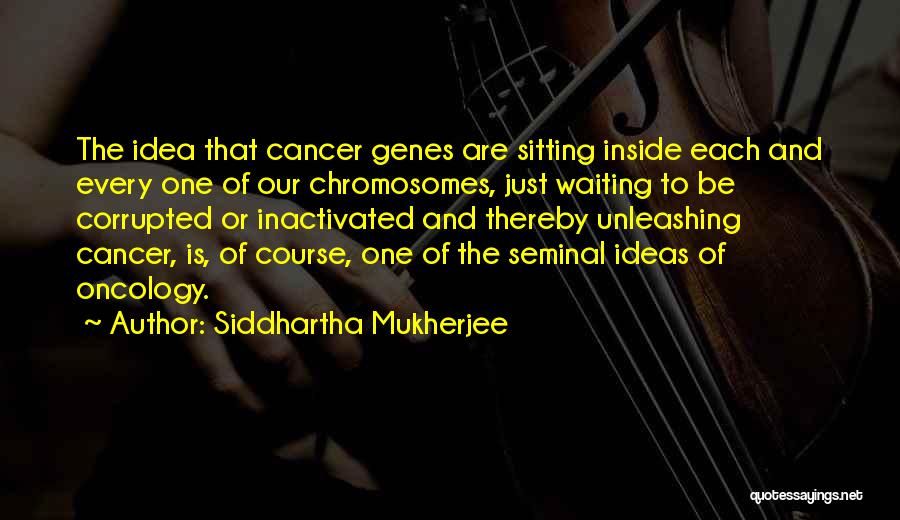 Siddhartha Mukherjee Quotes: The Idea That Cancer Genes Are Sitting Inside Each And Every One Of Our Chromosomes, Just Waiting To Be Corrupted