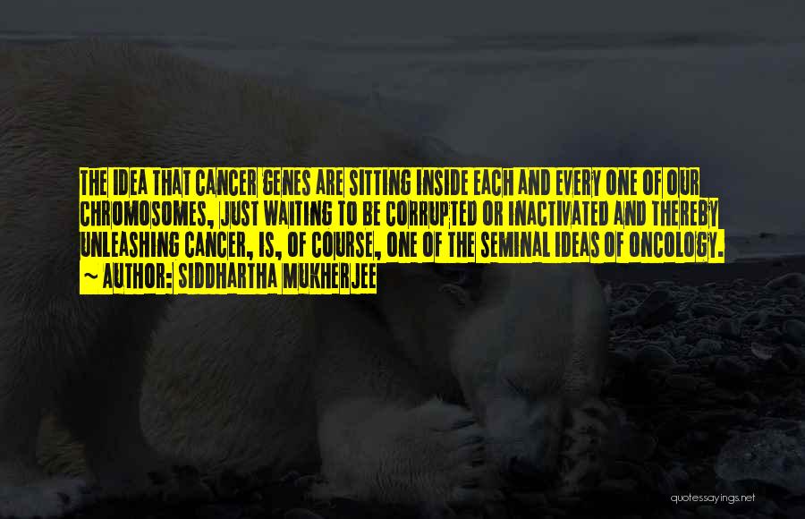 Siddhartha Mukherjee Quotes: The Idea That Cancer Genes Are Sitting Inside Each And Every One Of Our Chromosomes, Just Waiting To Be Corrupted