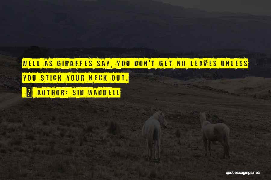 Sid Waddell Quotes: Well As Giraffes Say, You Don't Get No Leaves Unless You Stick Your Neck Out.