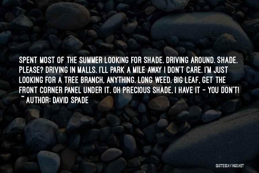 David Spade Quotes: Spent Most Of The Summer Looking For Shade. Driving Around. Shade. Please? Driving In Malls. I'll Park A Mile Away