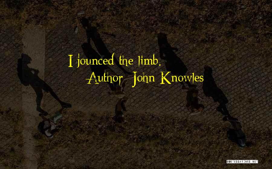 John Knowles Quotes: I Jounced The Limb.