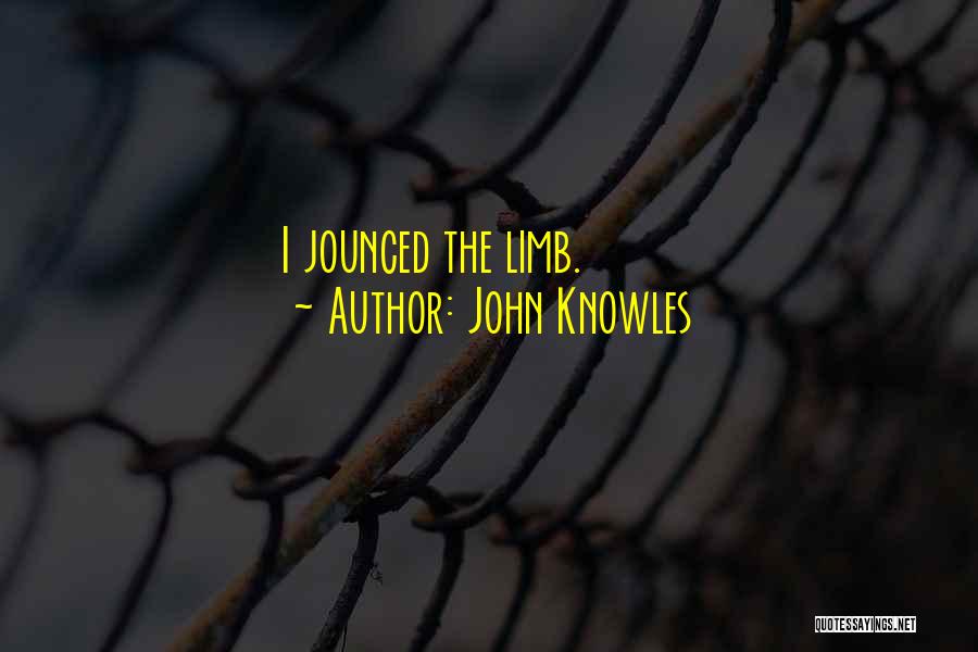John Knowles Quotes: I Jounced The Limb.
