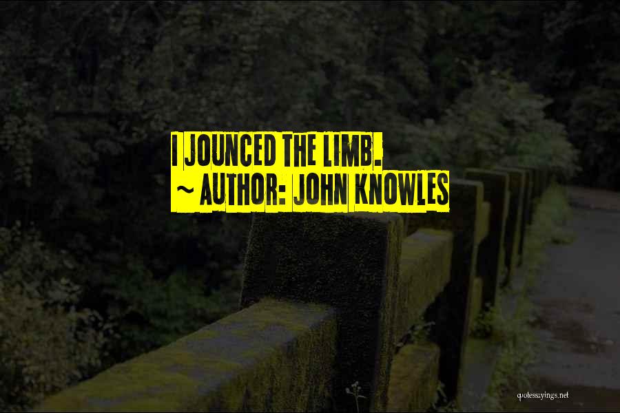 John Knowles Quotes: I Jounced The Limb.