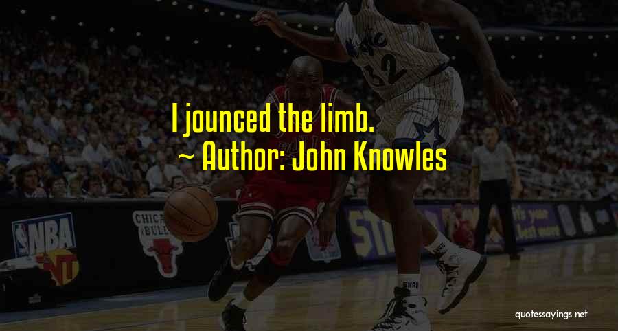 John Knowles Quotes: I Jounced The Limb.